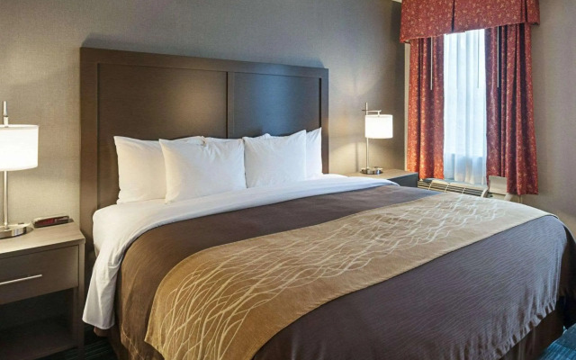 Comfort Inn Ballston