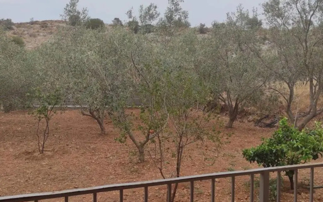 Nikos House Megara