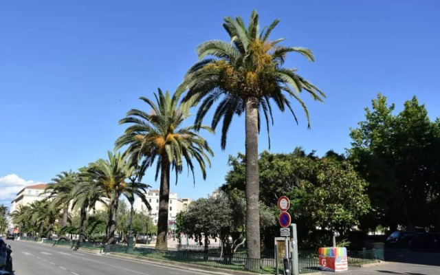 Superbe appartement en plein coeur d'Ajaccio