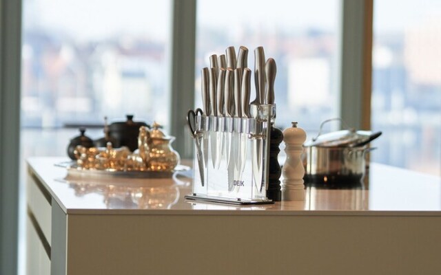 Eignerlodge - Penthouse