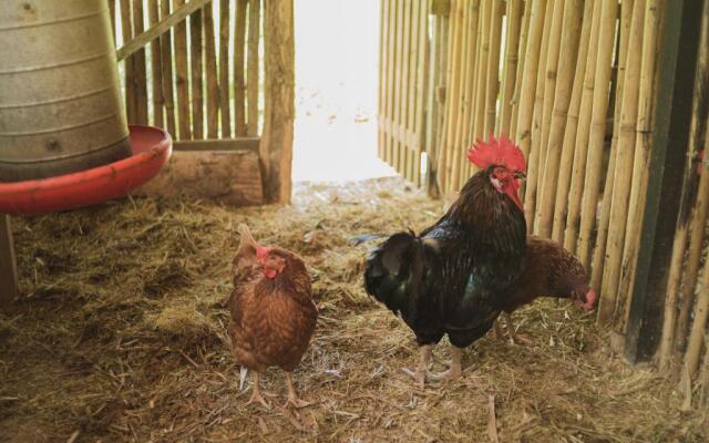 Fazenda Dos Cordeiros