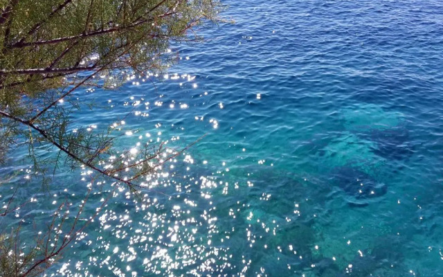 Apartment Primosten Adiomare