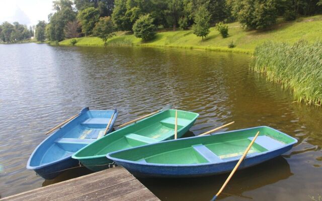 Castle in the Country