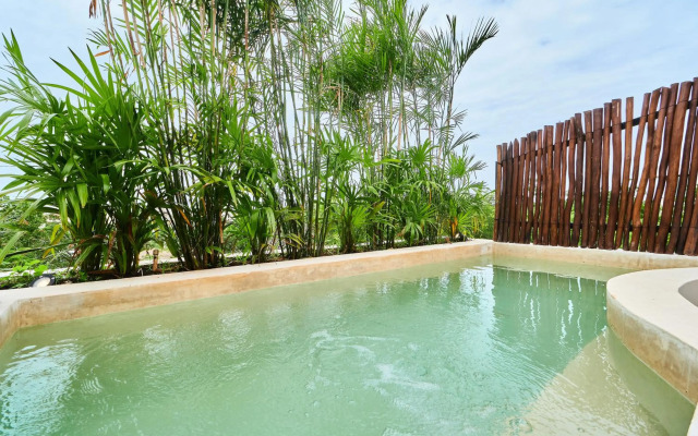 BV 230 Modern 2 BD Condo & private rooftop Jacuzzi