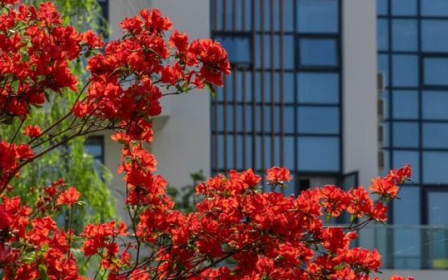 Wunvzhou Guyuanli Hotel