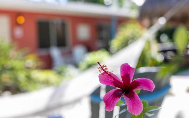 Siesta Key Beachside Villas