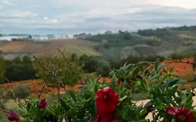 Genius Loci Country Inn