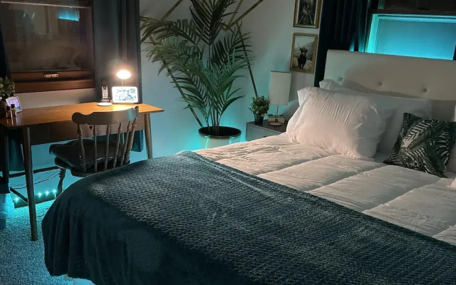 Dream Inn