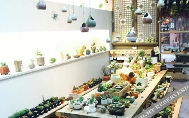 Yangliu's Yard