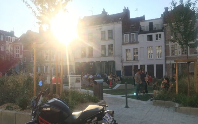 Le Chat Qui Dort - Bords de Deûle