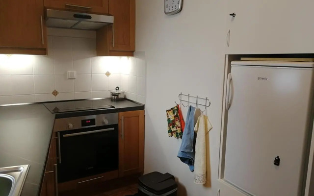 Rodinný Apartmán Harrachov 606