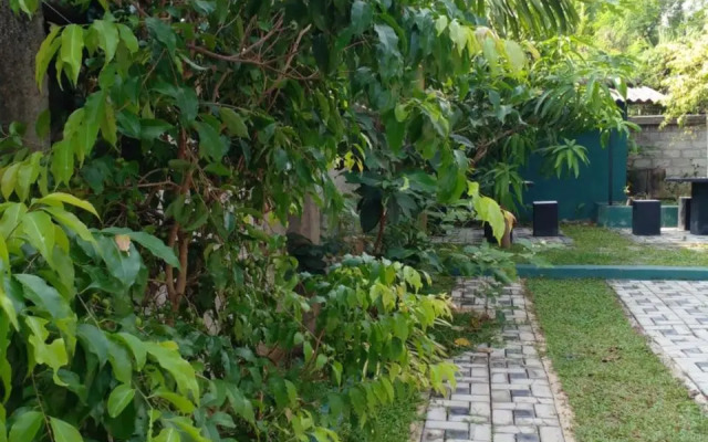 Thomasha Homestay
