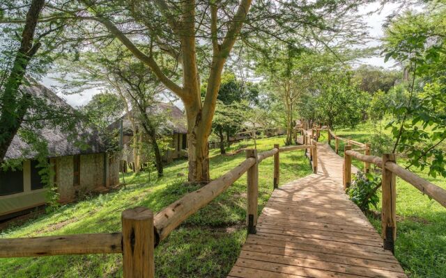 Ngorongoro Forest Tented Lodge