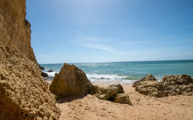 102 Hibiscus Monte Dourado