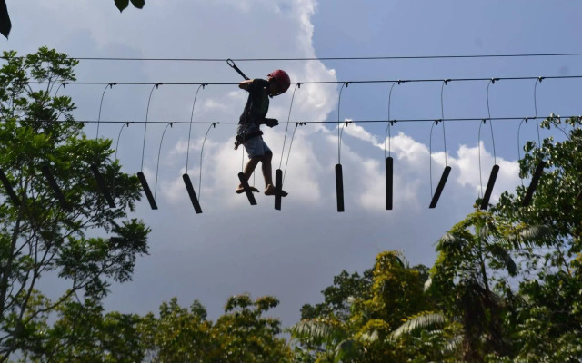 Parque Dos Igarapés