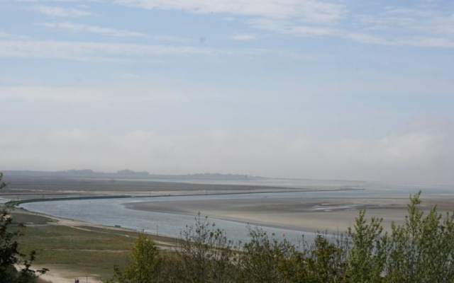 Les Iris de la Baie de Somme
