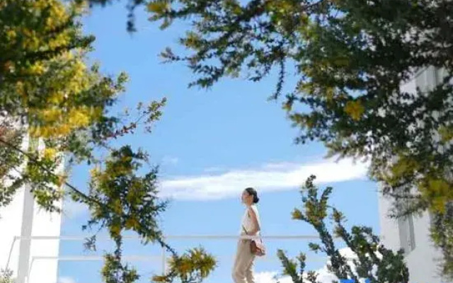 La Paix Dalat