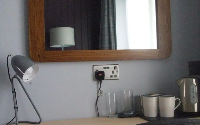 The Swan on the River