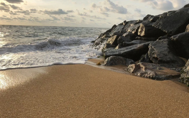 Oyo 287 Hotel Nelly Marine