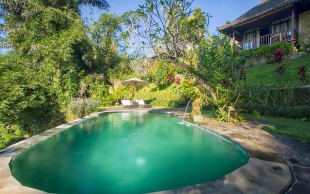 Wedang Villa