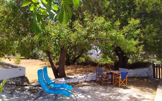 Almond trees house