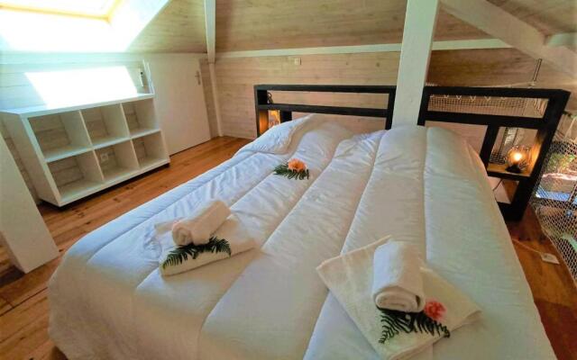 Very Nice Wood Frame House With Garden