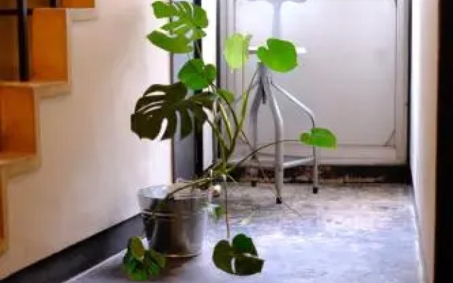 Beppu Hostel & Cafe Ourschestra - Hostel