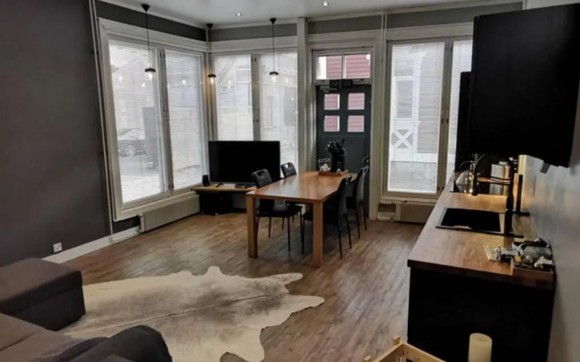 Luxury apartment In the middle Of old Rauma