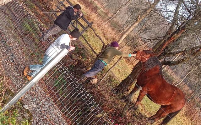 Room in Guest Room - Idylic Family Sejour With Hottube in Green Land