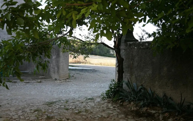 Saint Paul Le Marseillais