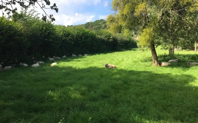 The Piggery