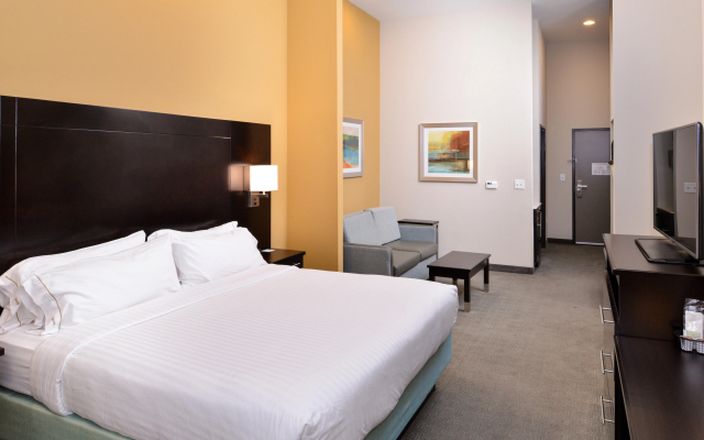 Holiday Inn Express & Suites Austin South by IHG