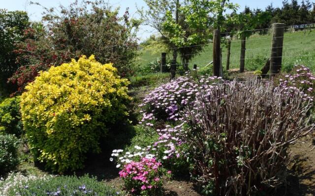 Kauri Lodge Farmstay