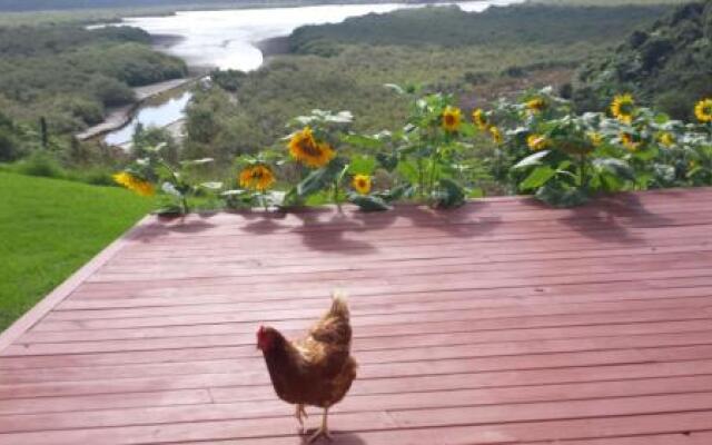 Taranaki (Adults Only)