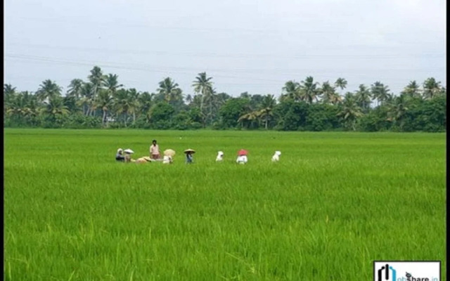 Sandradeepam Holiday Resorts