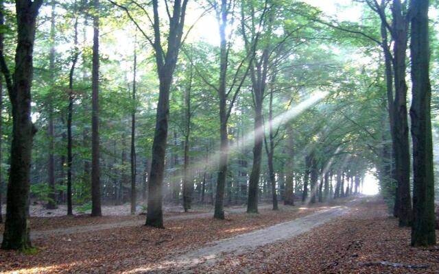 Boerenkiel Vakantiehuisjes