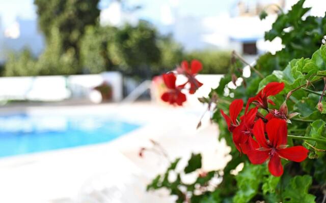 Yellow Jasper - Gemstone Getaway