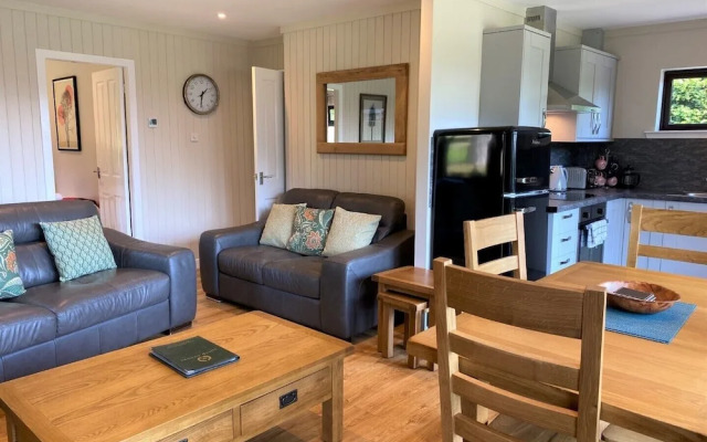 Birch Lodge 21 With Hot Tub, Newton Stewart