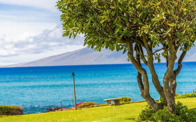 Polynesian Shores 111