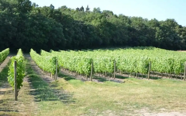 Le Trésor Des Templiers