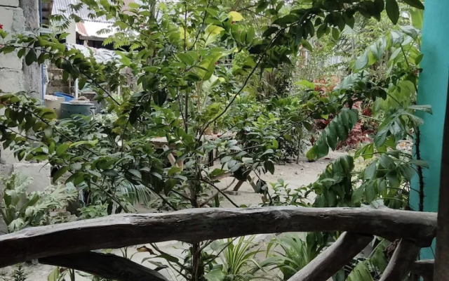 Shenamae Pension