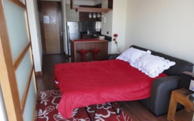 Departamento en Providencia - Barros Borgoño