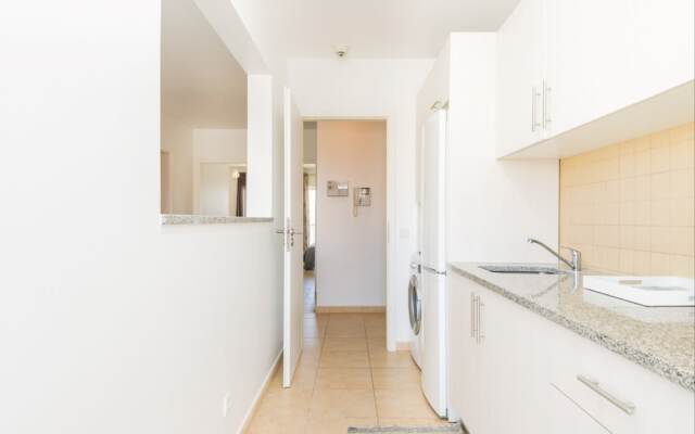 Akisol Tavira Paleto