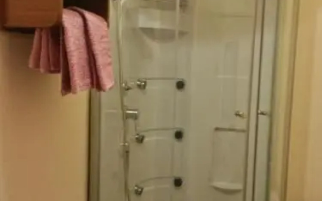 Астера — фото