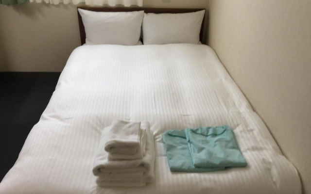 Hotel Green Palace