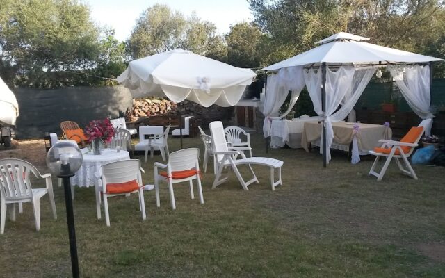 Bed and breakfast Helianthus