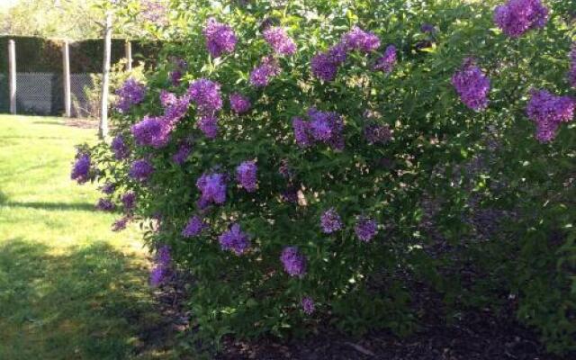 Chambres dhôtes Le Presbytère