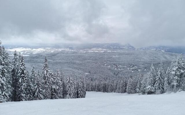 Borovets Hills Apartments - Studio 33