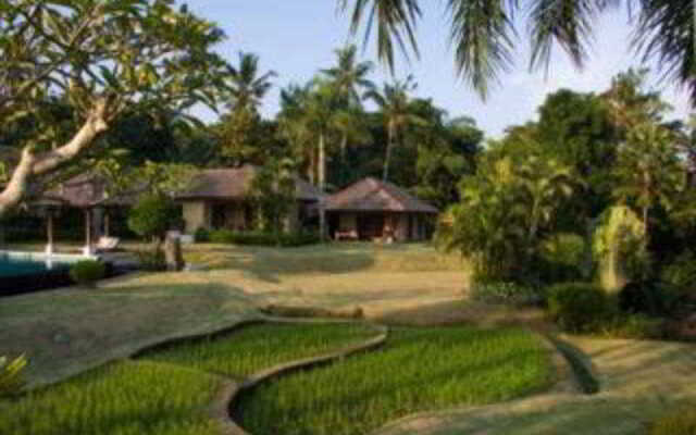 Lotus Residence