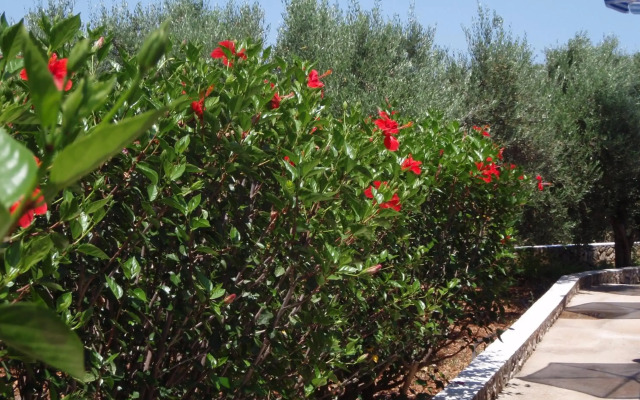 Michalis Villas